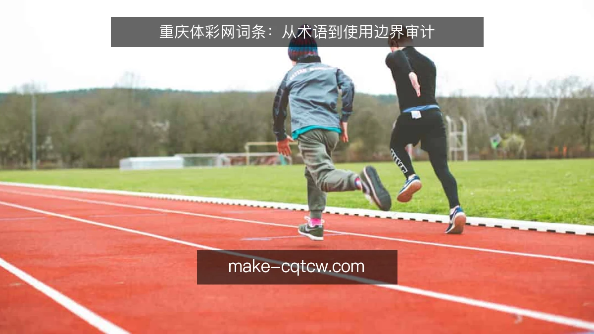 重庆体彩网词条：从术语到使用边界审计