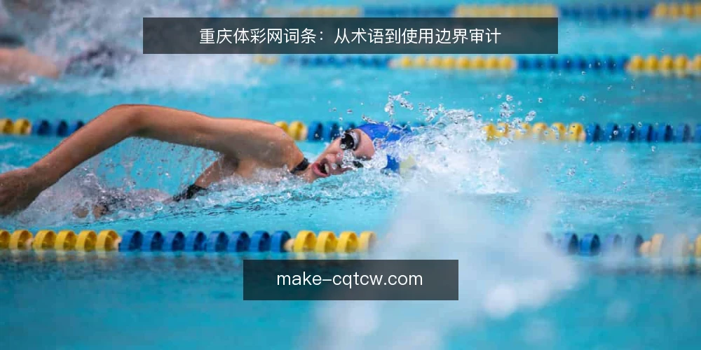重庆体彩网词条:从术语到使用边界审计 — 为何现在审计:术语混淆与使用风险 配图