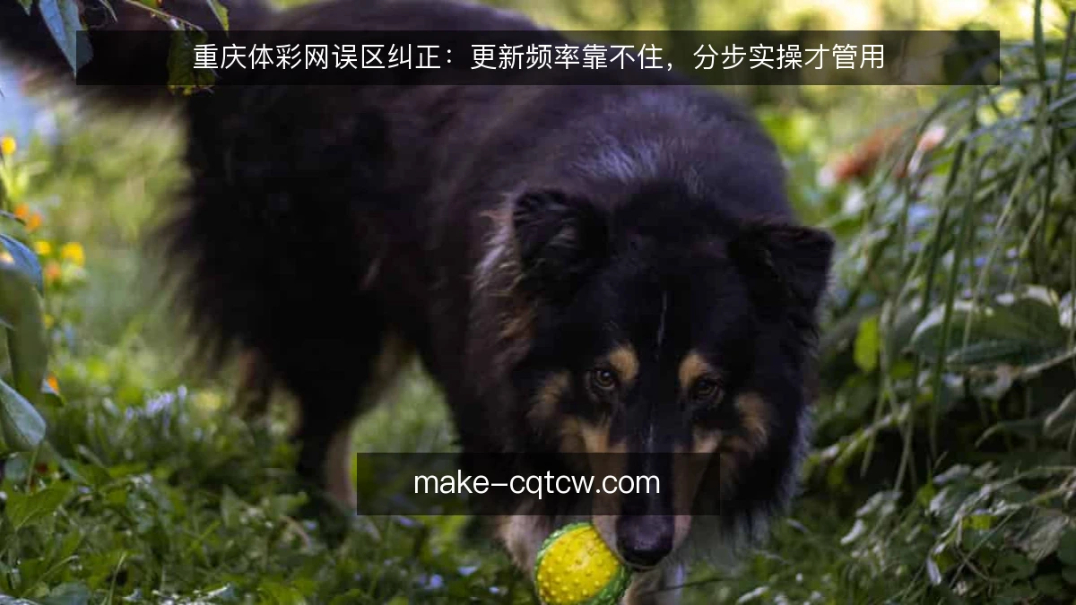 重庆体彩网误区纠正：更新频率靠不住，分步实操才管用